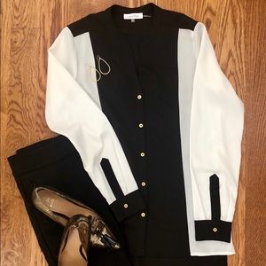 Calvin Klein Sheer Button Down Blouse